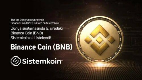 BNB币未来前景如何-第1张图片-币安app下载