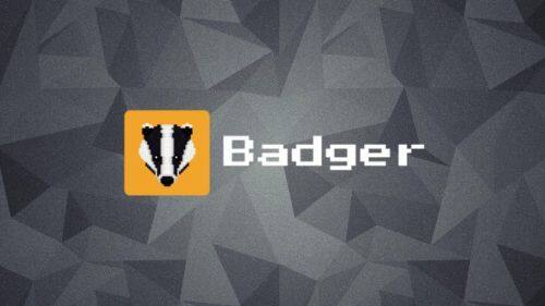 什么是Badger DAO币-第1张图片-币安app下载