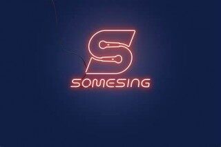 SOMESING - SSX是什么币