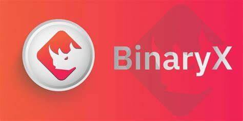 什么是BinaryX币-第1张图片-币安app下载