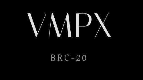 VMPX(Ordinals)币是什么?-第1张图片-币安app下载