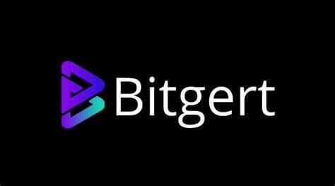 什么是Bitgert(BRISE)币-第1张图片-币安app下载
