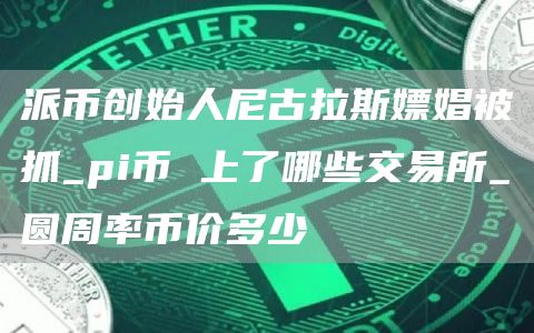 派币创始人尼古拉斯嫖娼被抓_pi币 上了哪些交易所_圆周率币价多少