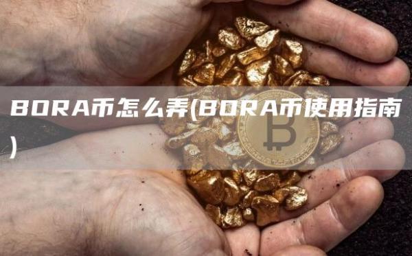 BORA币怎么弄 - BORA币使用指南