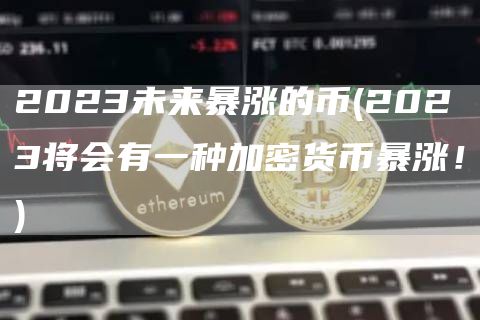 2023未来暴涨的币 - 2023将会有一种加密货币暴涨！