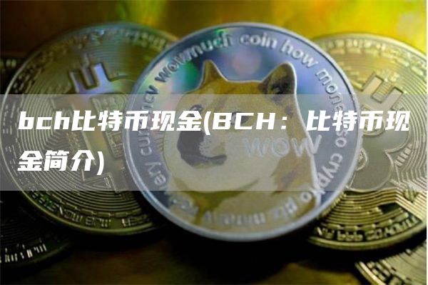 bch比特币现金 - BCH：比特币现金简介