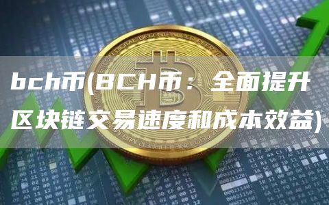 bch币 - BCH币：全面提升区块链交易速度和成本效益