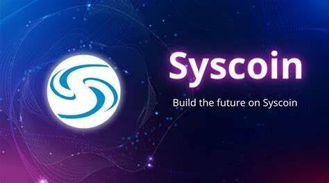 什么是Syscoin币-第1张图片-币安app下载