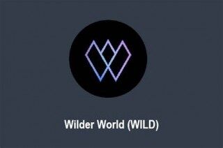 什么是Wilder World - WILD币