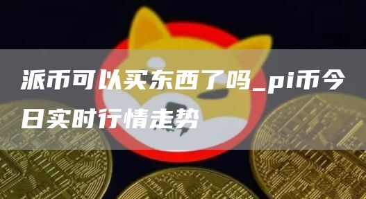 派币可以买东西了吗_pi币今日实时行情走势