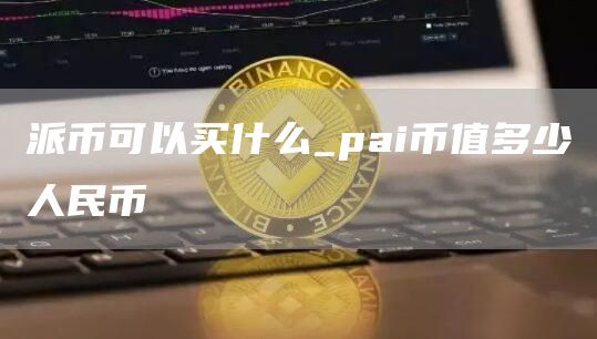 派币可以买什么_pai币值多少人民币