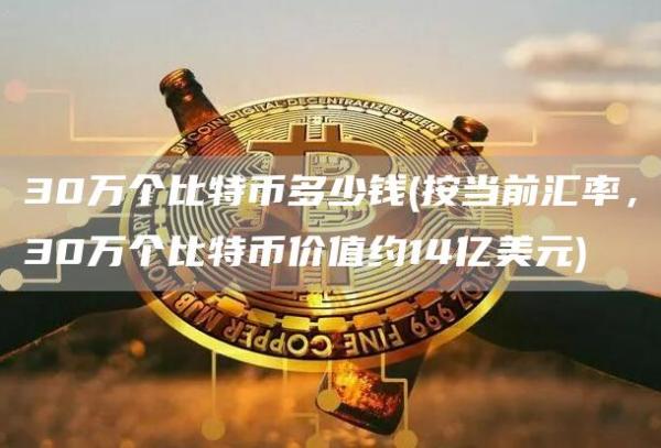 30万个比特币多少钱 - 按当前汇率，30万个比特币价值约14亿美元