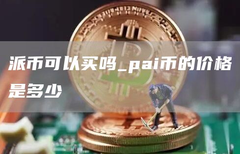 派币可以买吗_pai币的价格是多少