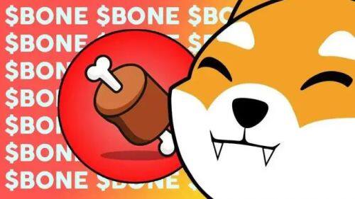 什么是Bone ShibaSwap(BONE)币-第1张图片-币安app下载