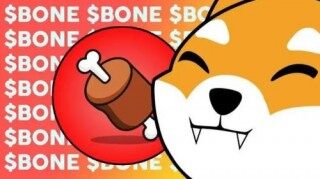 什么是Bone ShibaSwap - BONE币