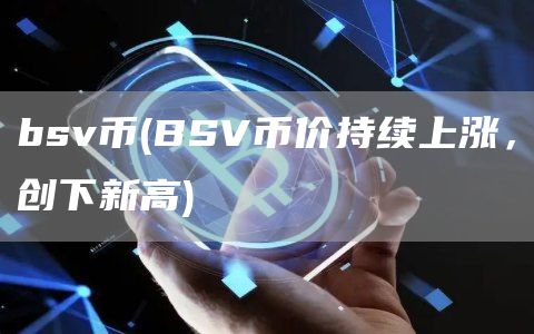 bsv币 - BSV币价持续上涨，创下新高