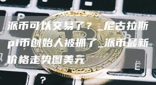 派币可以交易了？_尼古拉斯pi币创始人被抓了_派币最新价格走势图美元