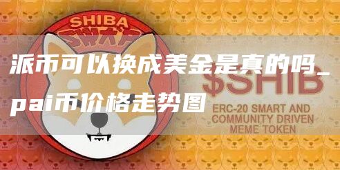 派币可以换成美金是真的吗_pai币价格走势图