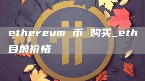 ethereum 币 购买_eth目前价格