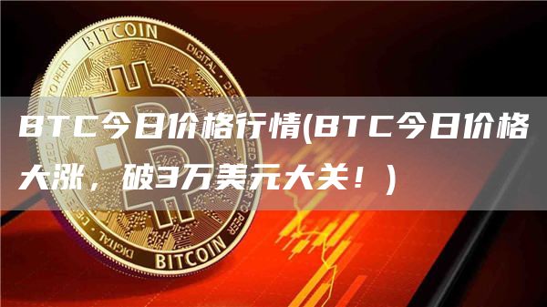 BTC今日价格行情 - BTC今日价格大涨，破3万美元大关！