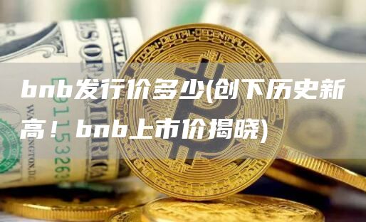 bnb发行价多少 - 创下历史新高！bnb上市价揭晓