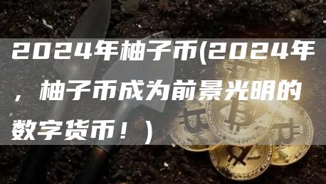 2024年柚子币 - 2024年，柚子币成为前景光明的数字货币！