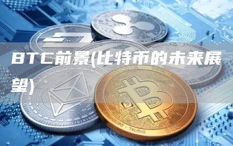 BTC前景 - 比特币的未来展望