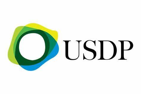 Pax Dollar(USDP)币种介绍-第1张图片-币安app下载
