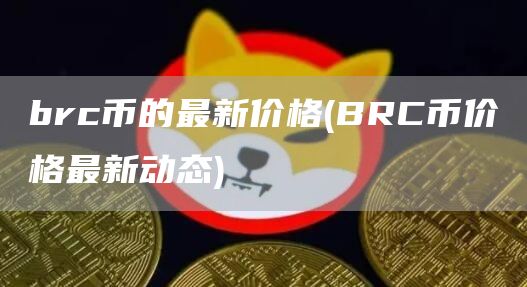 brc币的最新价格 - BRC币价格最新动态