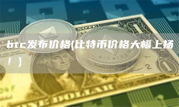 btc发布价格 - 比特币价格大幅上扬！