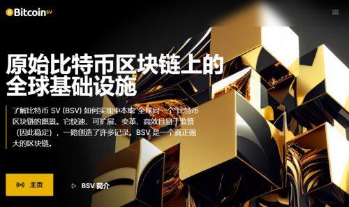 BSV币是什么币种-第1张图片-币安app下载