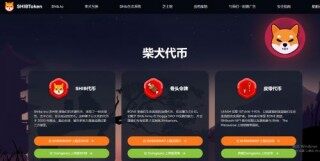 SHIB币值得投资吗