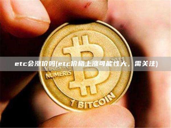 etc会涨价吗 - etc价格上涨可能性大，需关注