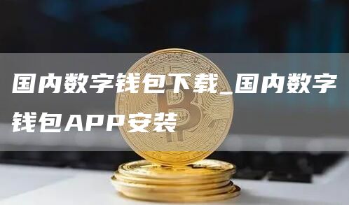 国内数字钱包下载_国内数字钱包APP安装