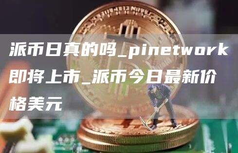 派币日真的吗_pinetwork即将上市_派币今日最新价格美元