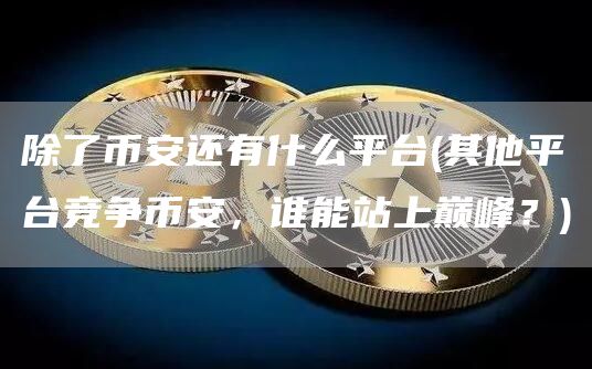除了binance还有什么平台 - 其他平台竞争binance，谁能站上巅峰？