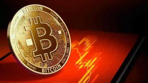 未来CCOIN币的发展前景如何？-第1张图片-币安app下载