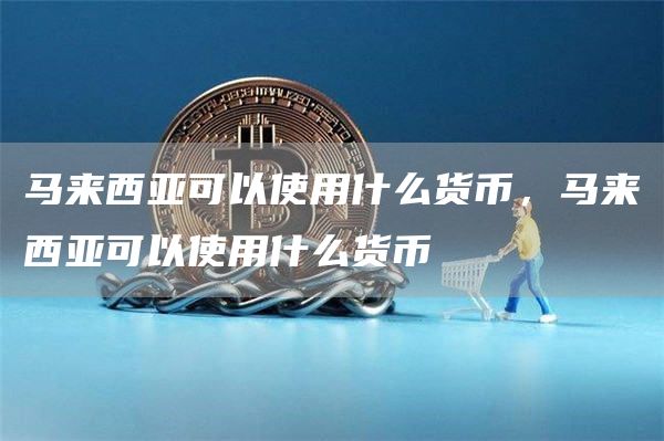 马来西亚可以使用什么货币，马来西亚可以使用什么货币