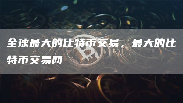 全球最大的比特币交易，最大的比特币交易网