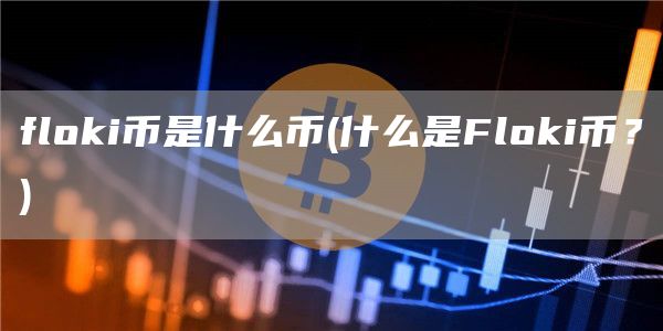 floki币是什么币 - 什么是Floki币？