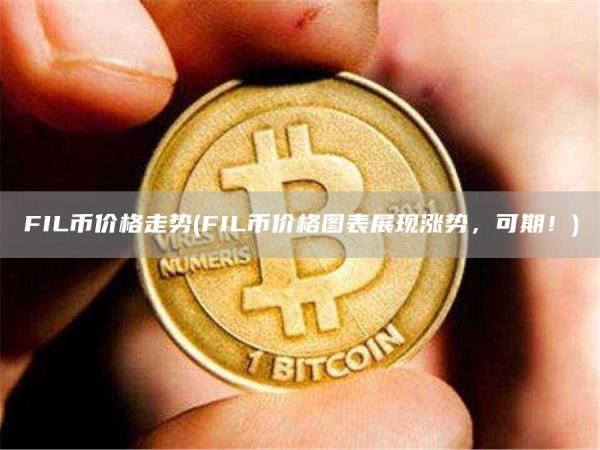 FIL币价格走势 - FIL币价格图表展现涨势，可期！