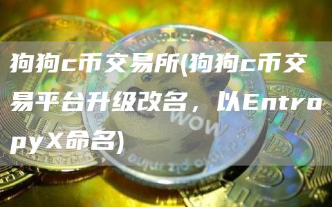 狗狗c币交易所 - 狗狗c币交易平台升级改名，以EntropyX命名