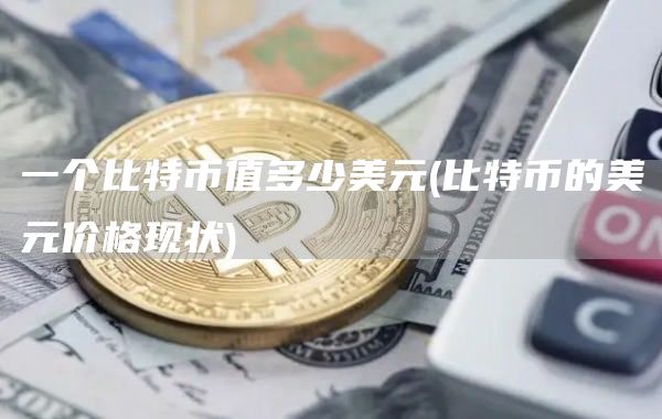 一个比特币值多少美元 - 比特币的美元价格现状