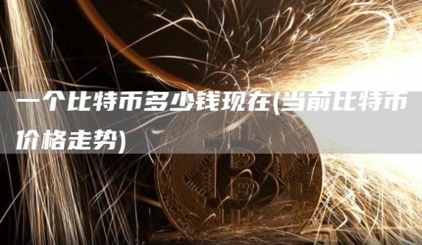 一个比特币多少钱现在 - 当前比特币价格走势