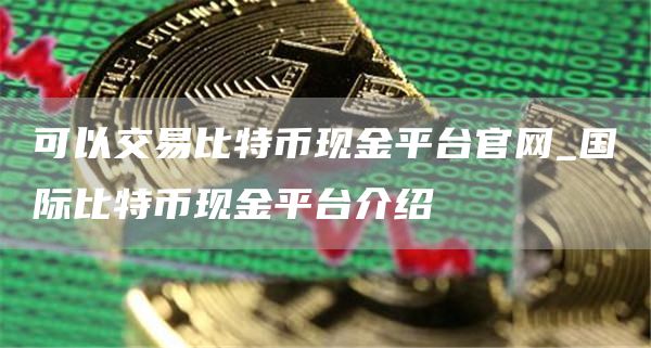 可以交易比特币现金平台官网_国际比特币现金平台介绍