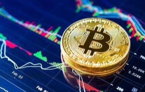 PI币稳定低手续费钱包用户量排名：PI币钱包热门最新榜单