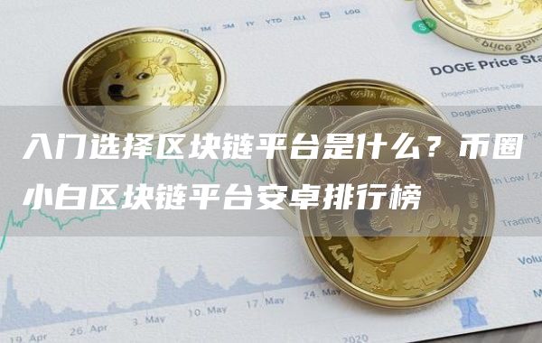 入门选择区块链平台是什么？币圈小白区块链平台安卓排行榜