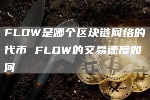 FLOW是哪个区块链网络的代币 FLOW的交易速度如何