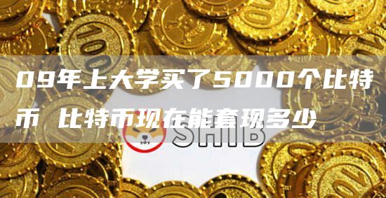 09年上大学买了5000个比特币 比特币现在能套现多少