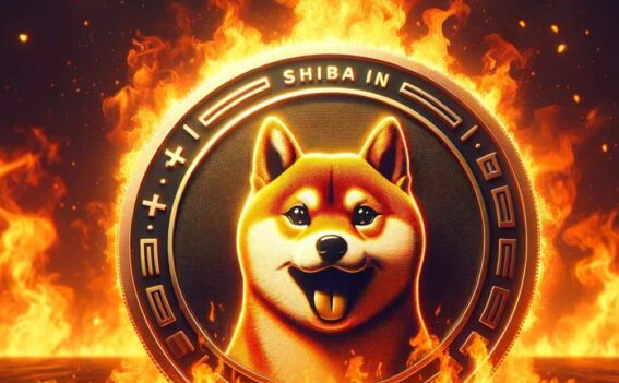 Shiba燃烧率飙升4200%移除超过 410.7SHIB-第1张图片-币安app下载